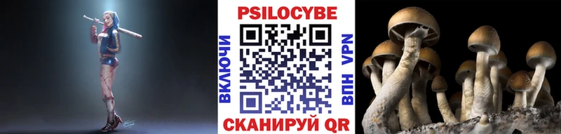 Псилоцибиновые грибы GOLDEN TEACHER  Оренбург 
