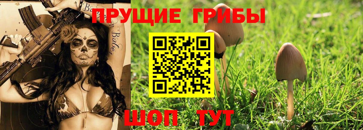 Оренбург  цены   Вход с VPN  Галлюциногенные грибы MAGIC MUSHROOMS 