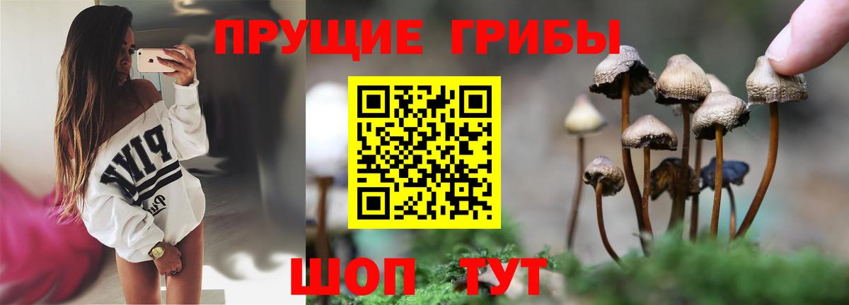 Псилоцибиновые грибы MAGIC MUSHROOMS Оренбург